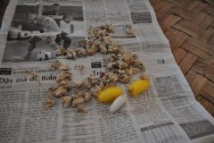 DSC_0313